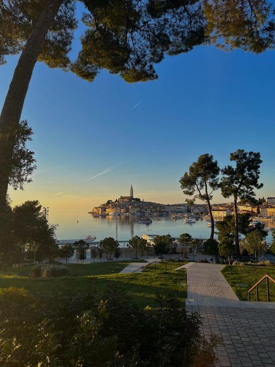 Studio Apartment La Maison De Catherine Rovinj Ngoại thất bức ảnh
