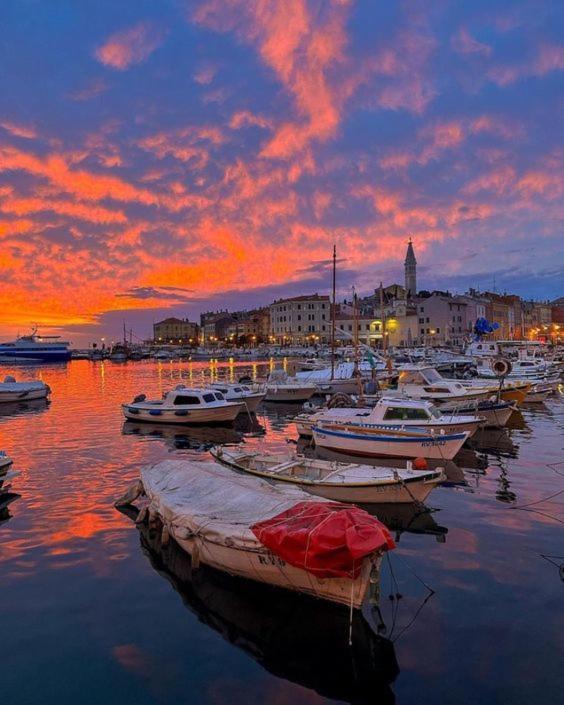 Studio Apartment La Maison De Catherine Rovinj Ngoại thất bức ảnh